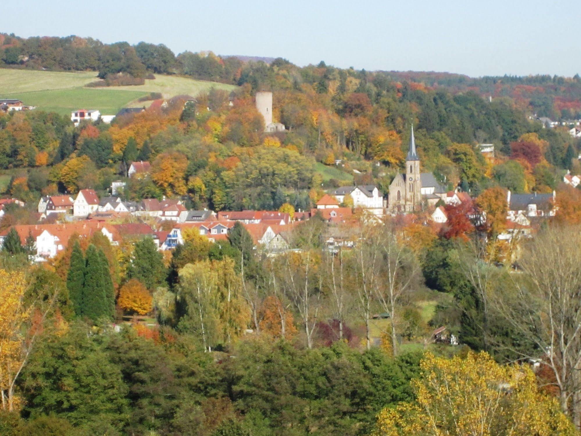 Trip Inn Landhotel Badsoden-Salmuenster บาด โซเดน-ซาลมึนสเตอร์ ภายนอก รูปภาพ